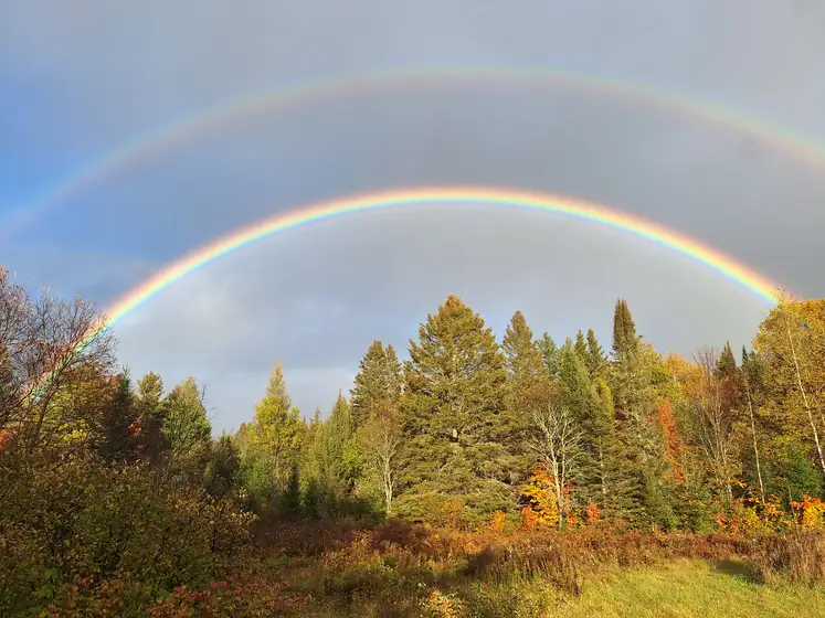 Double rainbow over autumn trees