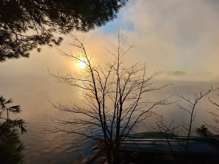 Sunrise through a bare tree over a misty lake